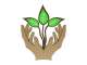 Amy Byrne Kinesiology