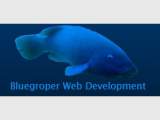 Bluegroper Web Development