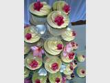 The Cupcake Orchard