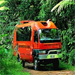 Daintree Rainforest & 4WD Tours + Cruise from Cairns