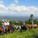 Giddy Up Rainforest Rides