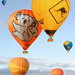 Hot Air Ballooning