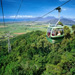 Skyrail Rainforest Cableway