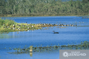 Hasties Swamp
