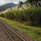 Getting to Cairns thumbnail