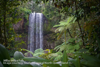 millaa millaa falls, atherton tablelands