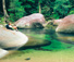 The Boulders