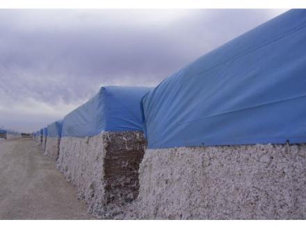 Graham Faulkner Tarps