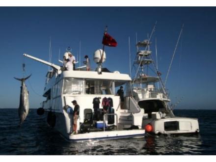 Ross Finlayson Marlin Fishing Charters