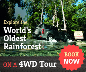 Daintree 4WD Tour