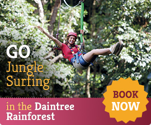 Jungle Surfing Daintree