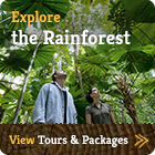 Explore The Rainforest - View Tours & Packages