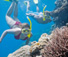 Scuba Diving in Cairns